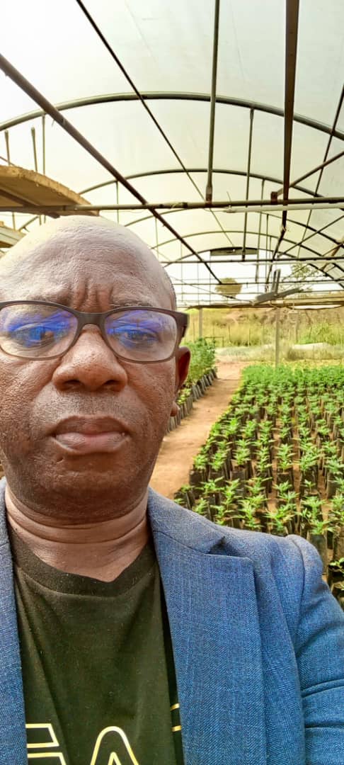 Cultivation setup